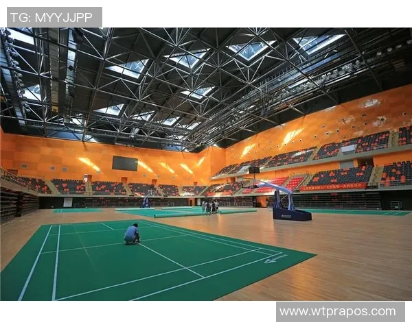 杭州羽毛球队转型之路:探索新机遇与挑战的深度分析 杭州羽毛球队转型之路:探索新机遇与挑战的深度分析