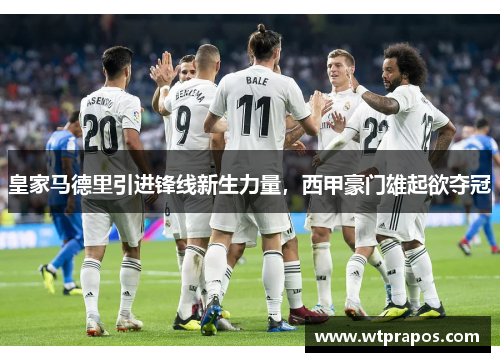 皇家马德里引进锋线新生力量，西甲豪门雄起欲夺冠